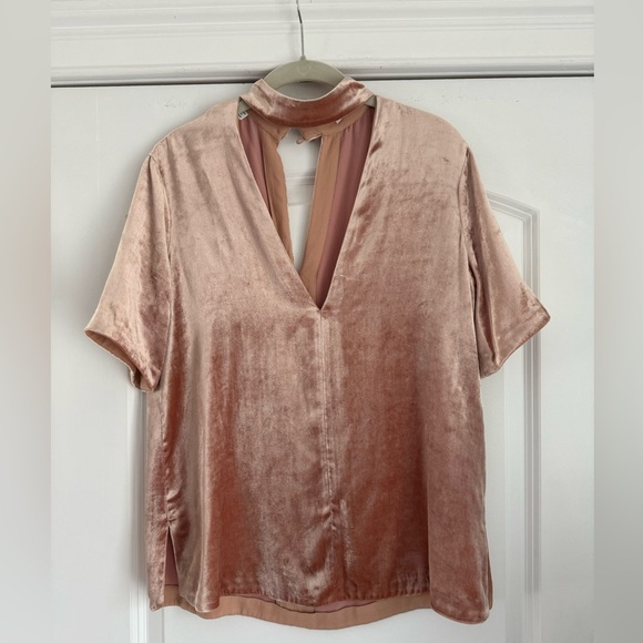 A.L.C. Velvet Blouse in Blush - Picture 1 of 3